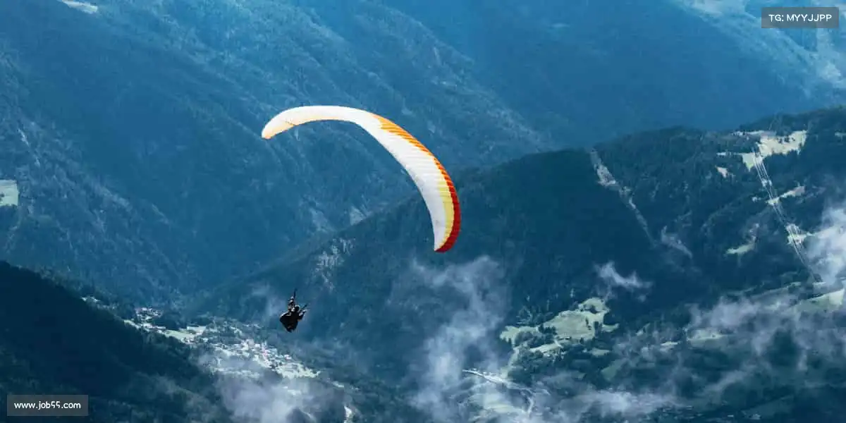 行业领先的理由